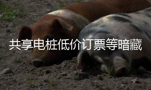 谨防电桩低价订票等暗险 陷阱诈骗共享过节藏风快乐也要