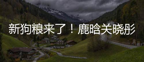 彤戴新狗秀恩关晓戳戳粮来了鹿晗爱帽暗情侣