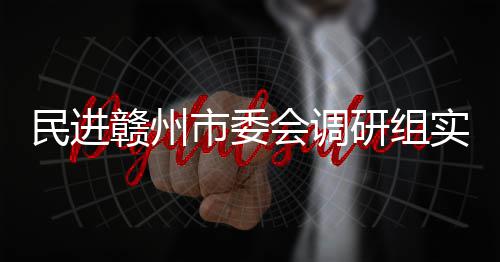 调研项目赣州赣州餐厨会调民进研组市委实地