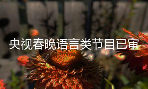 1年消息最新春晚春晚类节目已央视语言审定