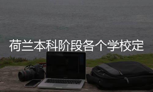 本科阶段定额学校招生各个荷兰汇总